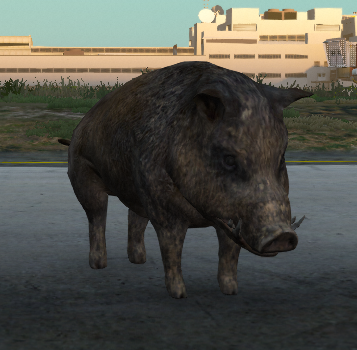 Animal Peds - 1 Month